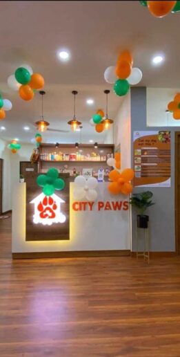 City Paws