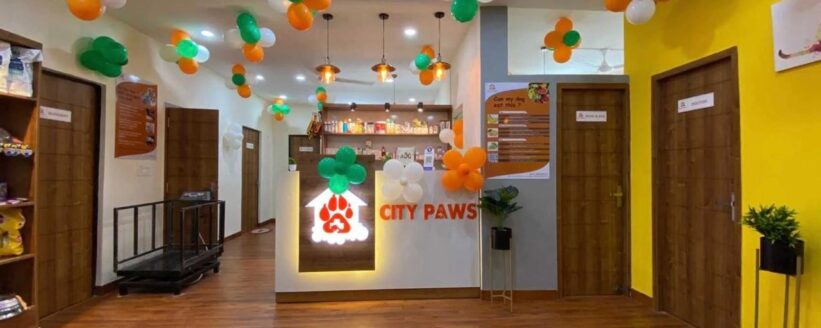 citypaws4