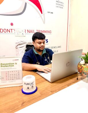 DrAshishyadav